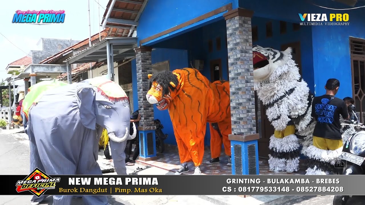 PRAPATAN CELENG | EIS ADINDA | BUROK MEGA PRIMA | SHOW PENDE - BANJARHARJO 05/10/2025