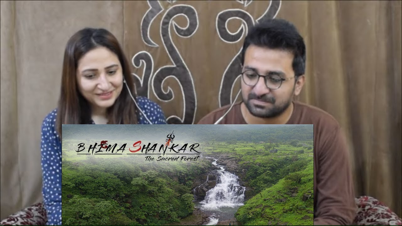 Pakistani Reacts to Bhimashankar Eco Tourism Film - Long Version