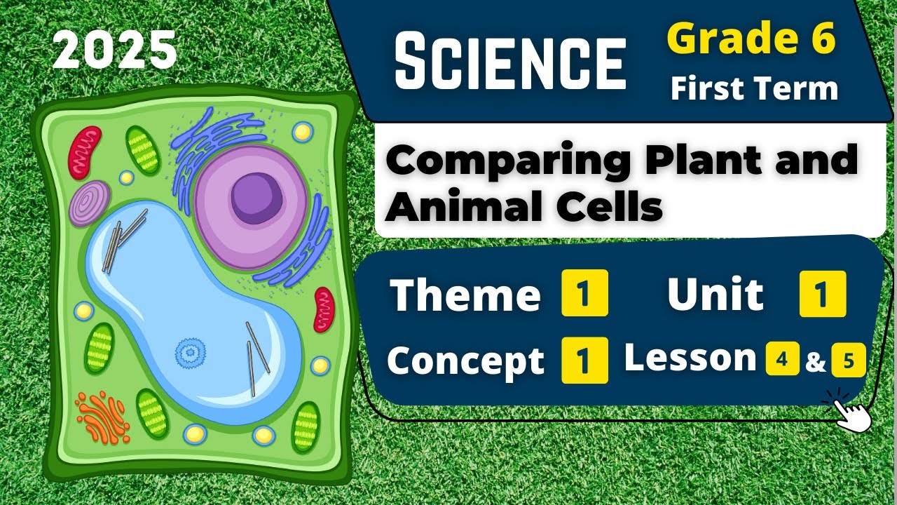Comparing Plant and Animal Cells | Grade 6 | Unit 1 - Concept 1 - Lesson 4&5 | Science
