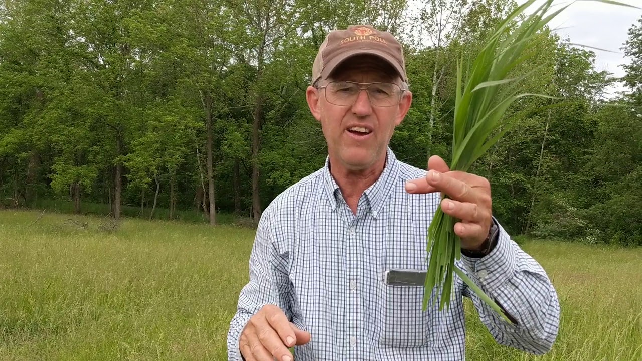 Greg Judy discussing diversity of forages