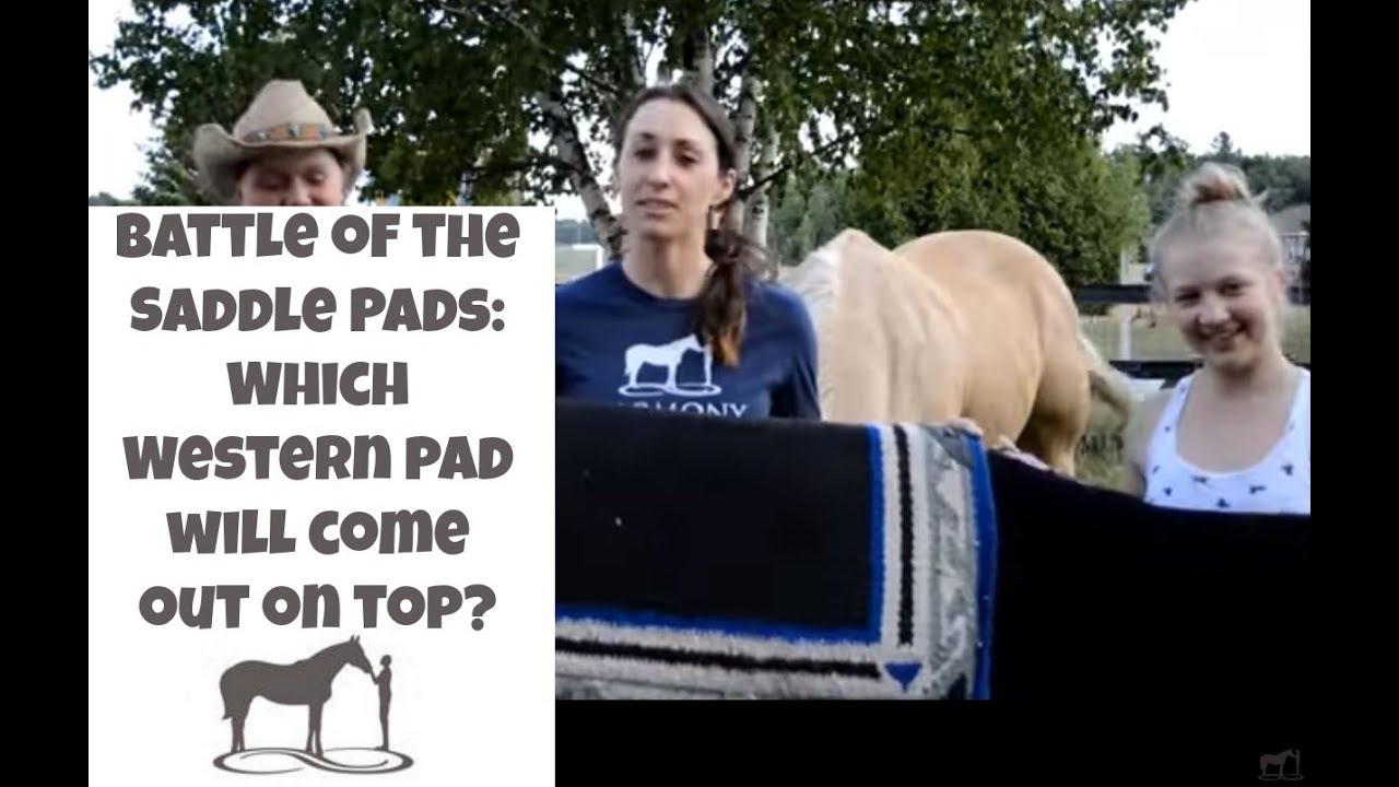 Battle of the Saddle Pads - which Western pad will come out on top?