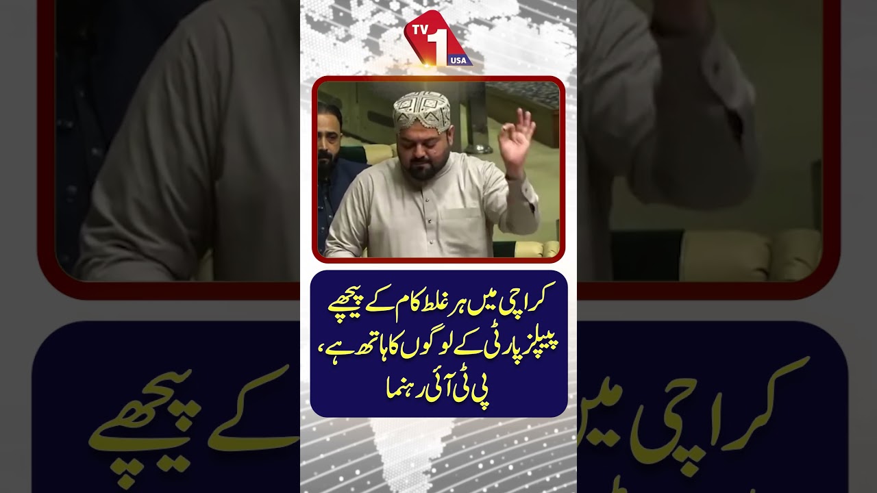 &ldquo;PPP Behind Every Wrongdoing in Karachi,&rdquo; Claims PTI Leader | TV ONE USA
