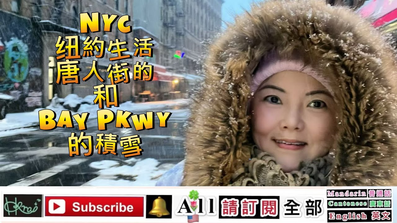NYC[纽約生活］唐人街的和Bay Pkwy的積雪*Venus Yan A,3/3/2026(🇺🇸,F)