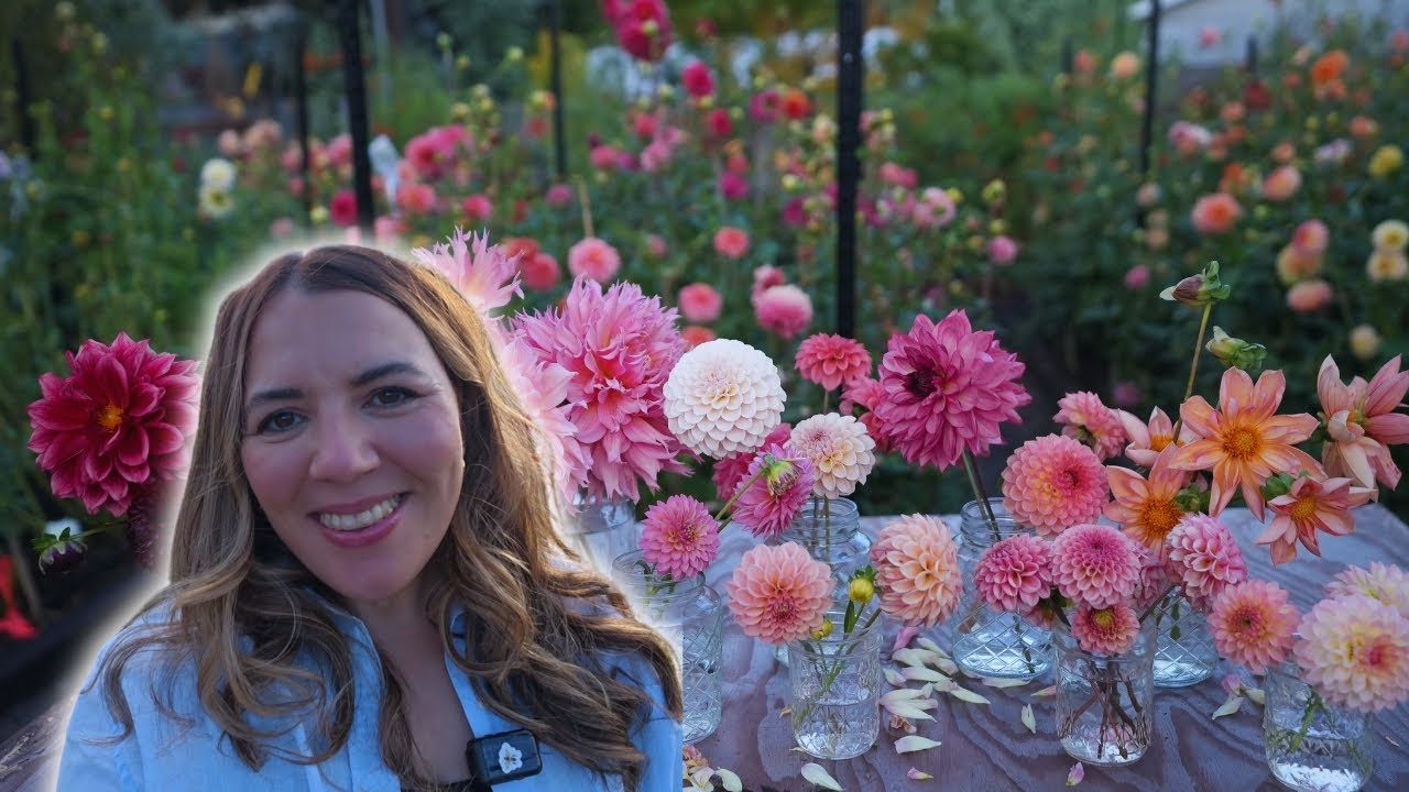 Top 10 Dahlias For Your Garden! Plus Two Bonus Varieties 😆🌸🙌 These Are a MUST Have!