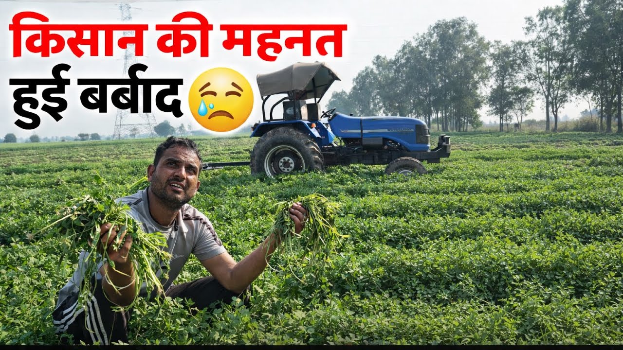🌾किसान 🧑‍🌾 की महनत हुईं बर्बाद 😭