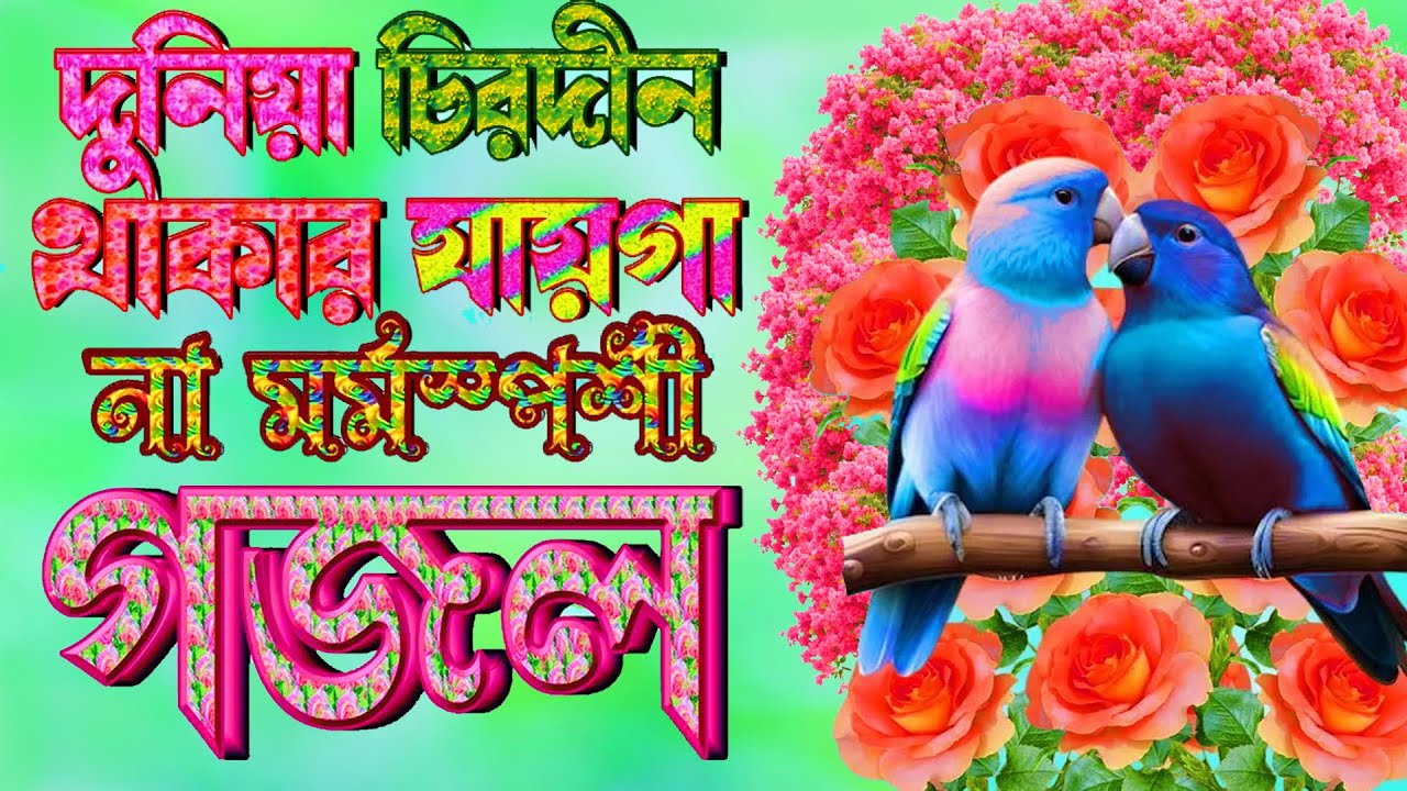 অবুজ মনরে কেনো বুজো না |মন মাতানো মর্মস্পর্শী গজল | New Bangla Gojol | Islamic Gojol 2024 | Ghazal