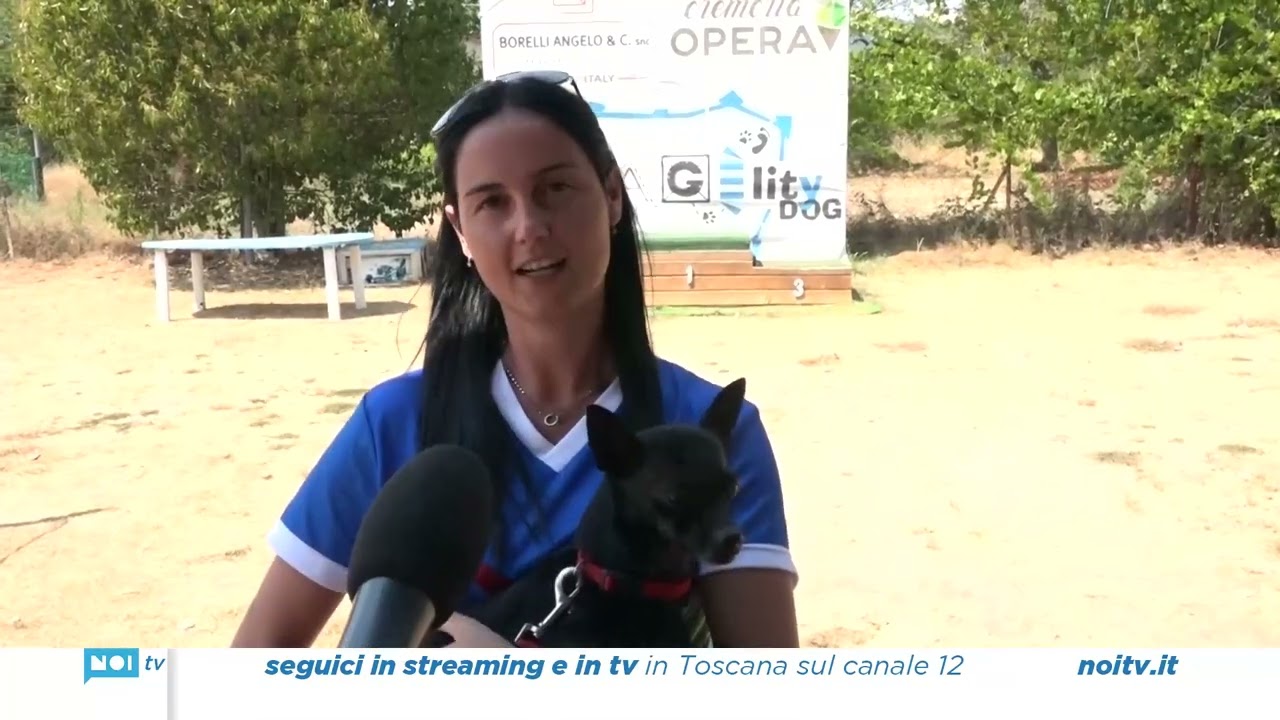 Il piccolo Pepe ai mondiali di Agility Dog