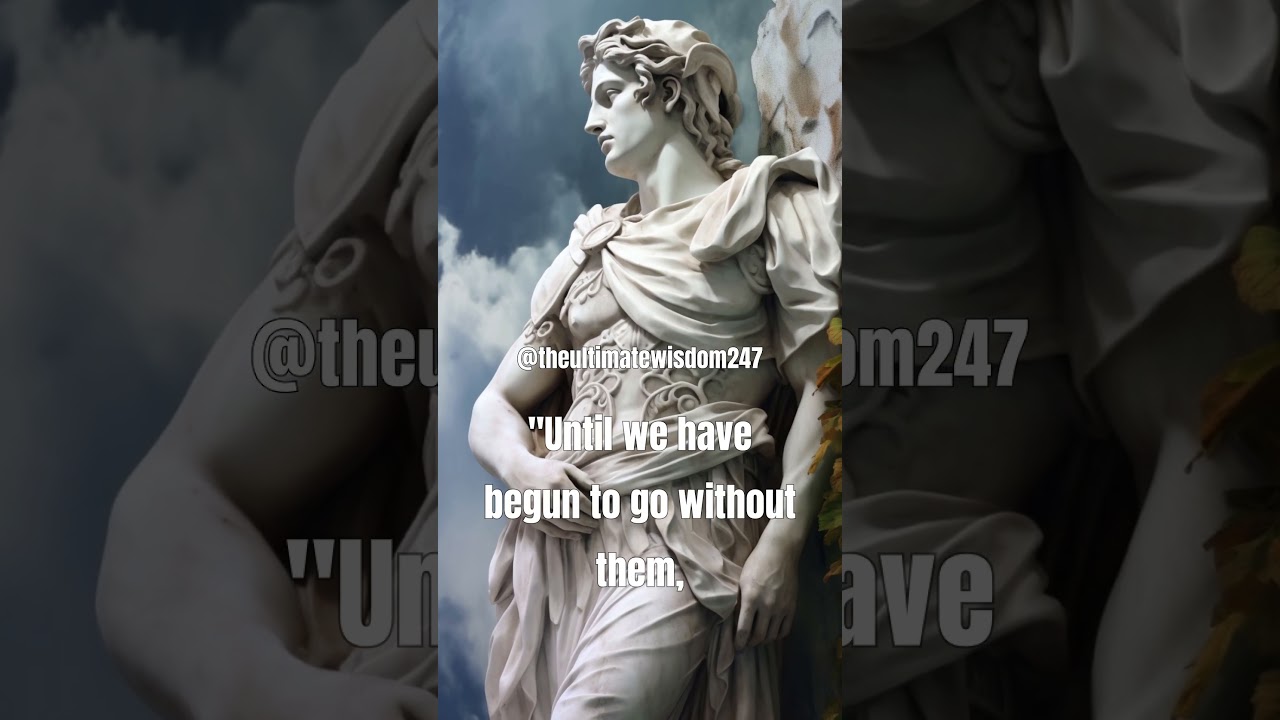 Many things in life are unnecessary #marcusaurelius #seneca #quotes #wealth #money #stoic