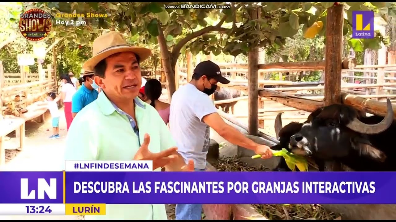 LIMA las granjas en LURIN