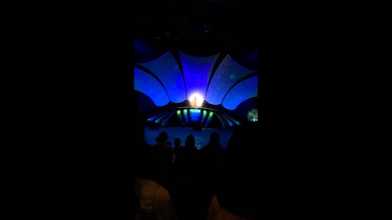 Dolphin show Georgia Aquarium 4/5/2015