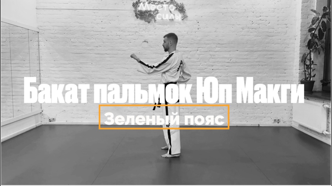 Бакат Пальмок Юп Макги| Разбор техники и отработка элементов тхэквондо