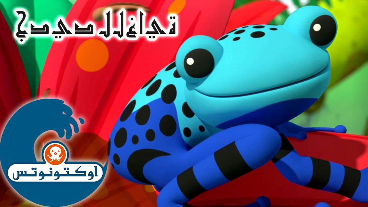 3 أوكتونوتس | الضفادع القاذفة السامة | السلسلة 4 | الحلقة