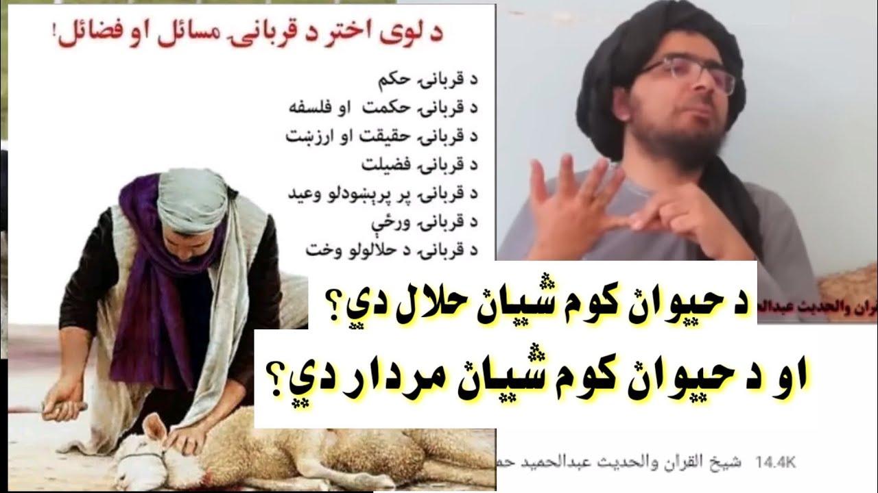 په حیوان کي کوم کوم شیان حرام دي