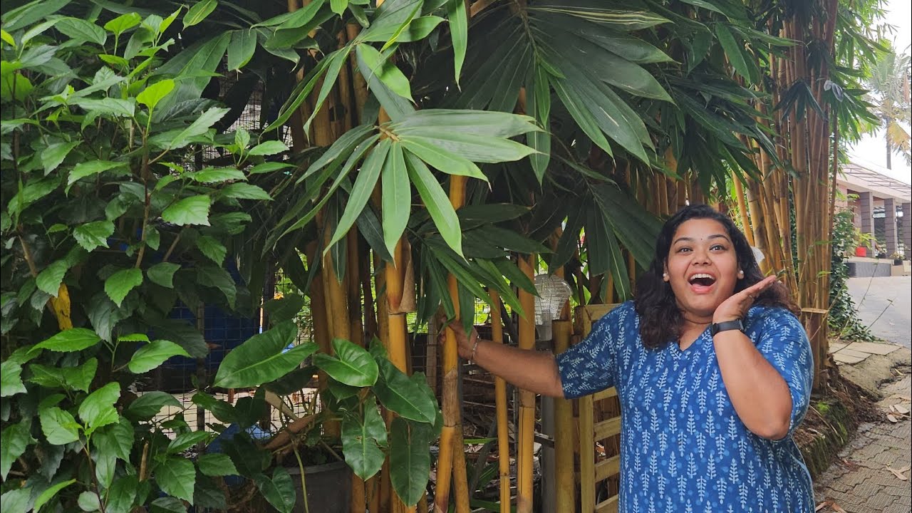 ശെരിക്കും miracle തന്നെ മക്കളെ..@miraclefarmhousevlogs707 #farmvisit