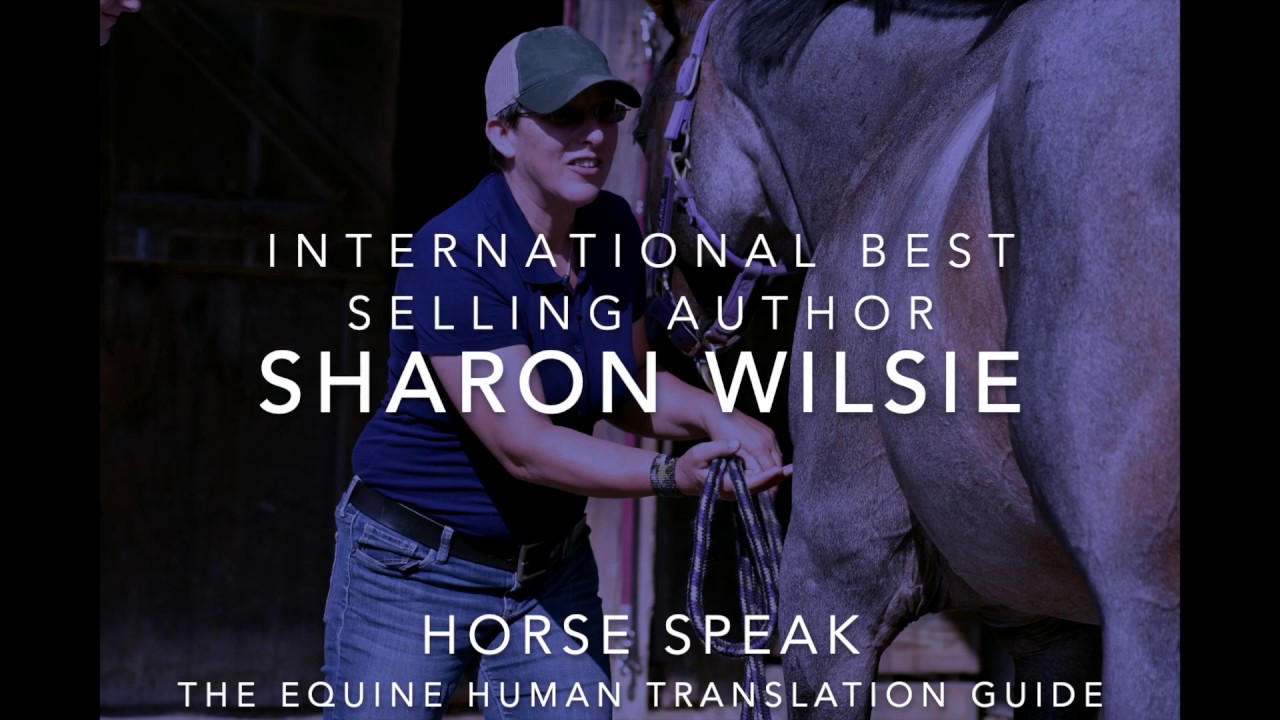 Horse Speak Webinar and Online Courses