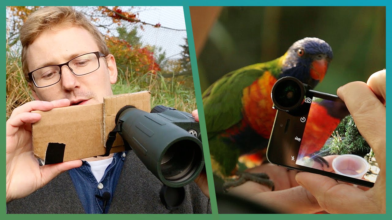 DIY Tips To Photograph Birds Using Your Smartphone | Cheap Shot Challenge | The Travel Edit