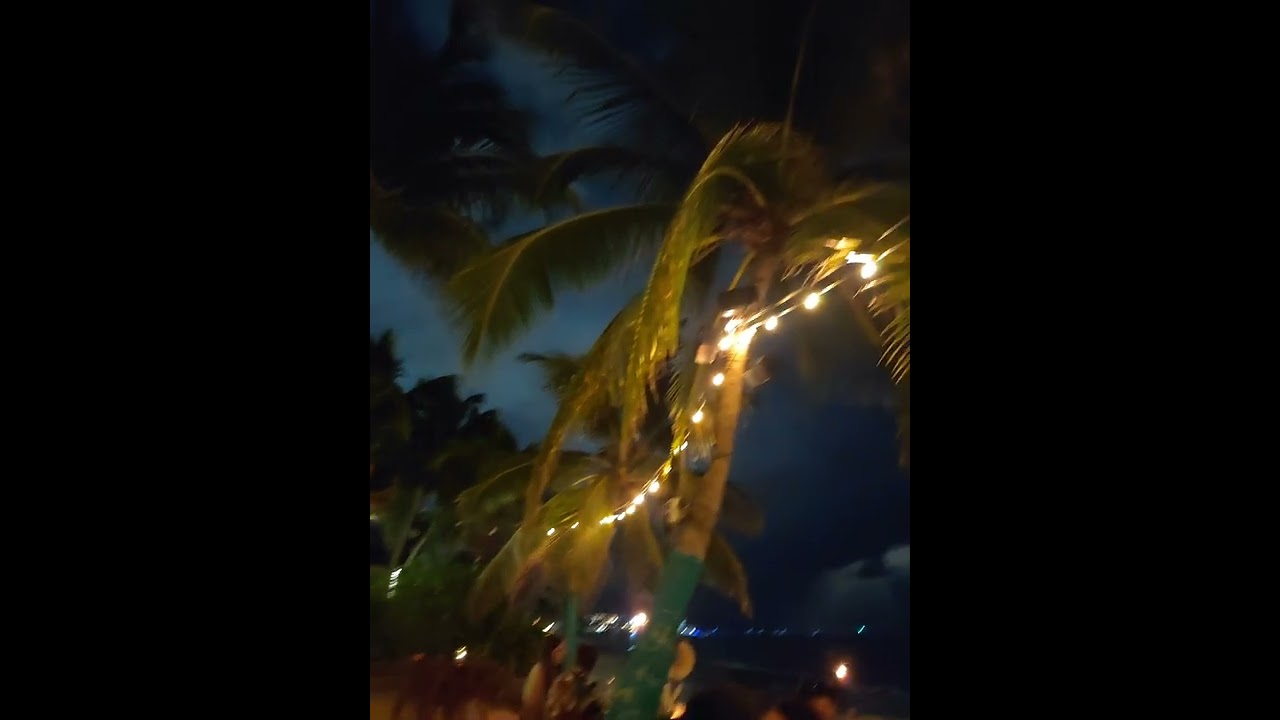 INTi beach en Playa del Carmen 🇲🇽