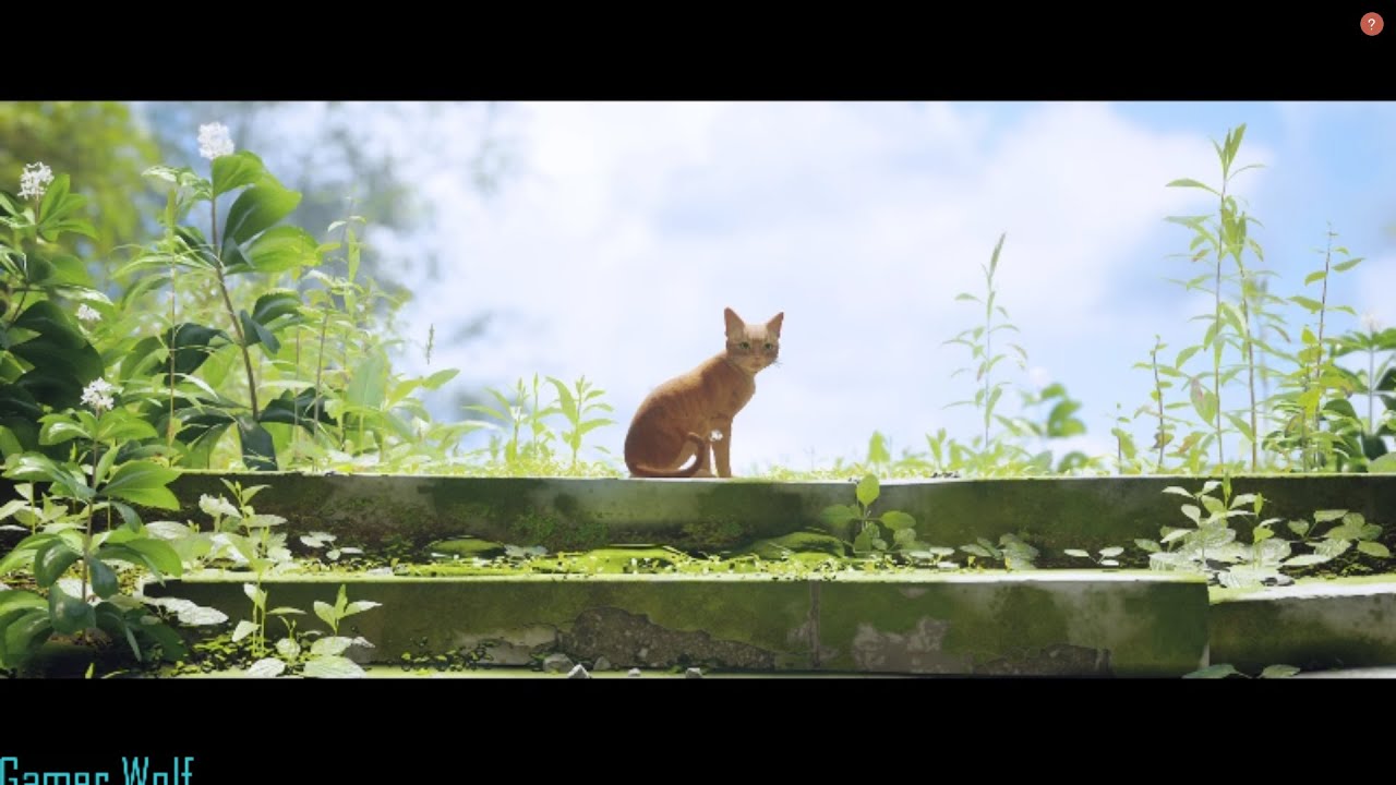 Stray: Jailed and Outside World Part 9 (No Commentary)