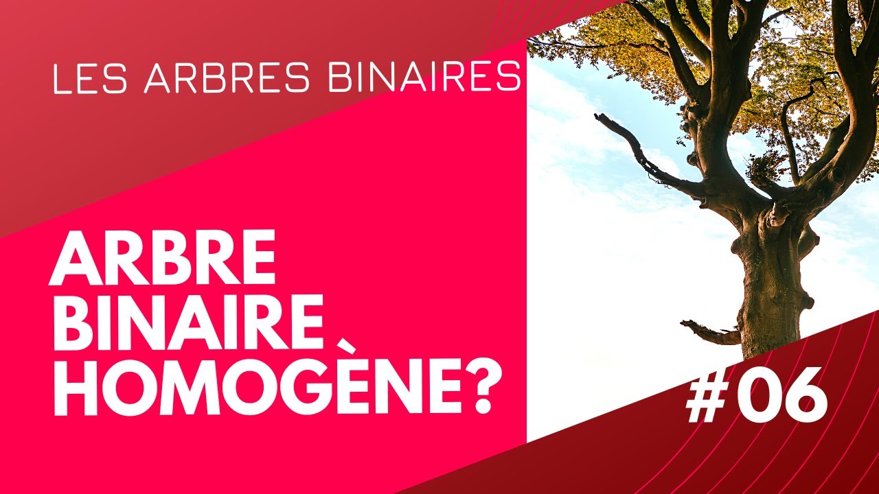 #06 - Arbre Binaire Homogène ? fonction de vérification