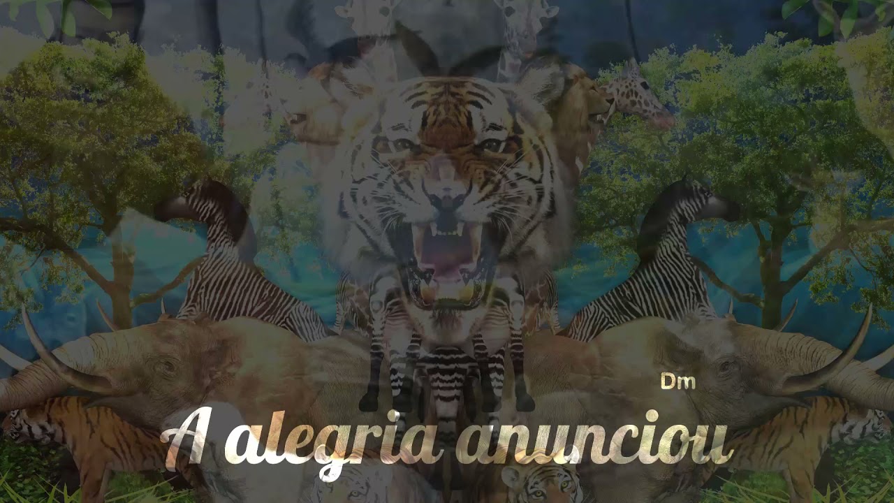 🎼 Chave da Transformação ⭐ Catarina Knoedt ✝️ Santo Daime