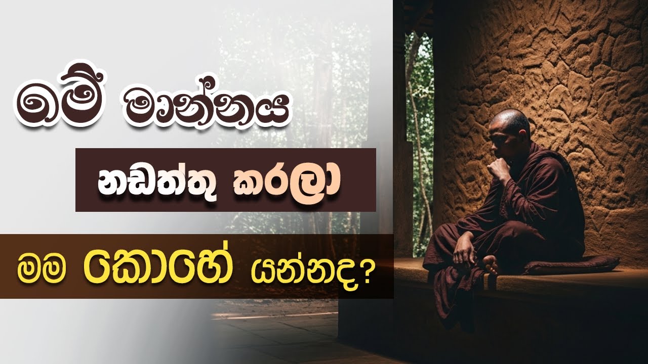 මේ මාන්නය නඩත්තු කරලා මම කොහේ යන්නද? | Niwan Dakimu