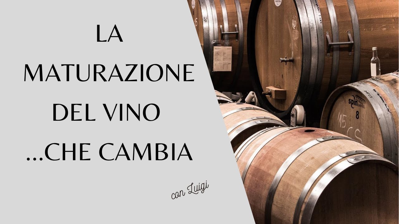 La maturazione del vino   che cambia