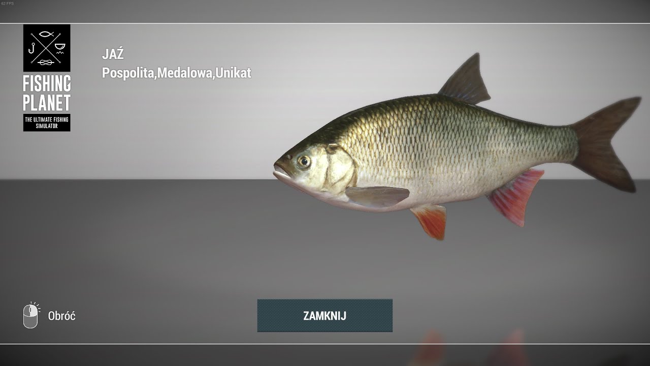 Fishing Planet Ghent-Terneuzen Canal Netherlands Unique Ide | Unikatowy Jaź #fishingplanet #ide #jaź