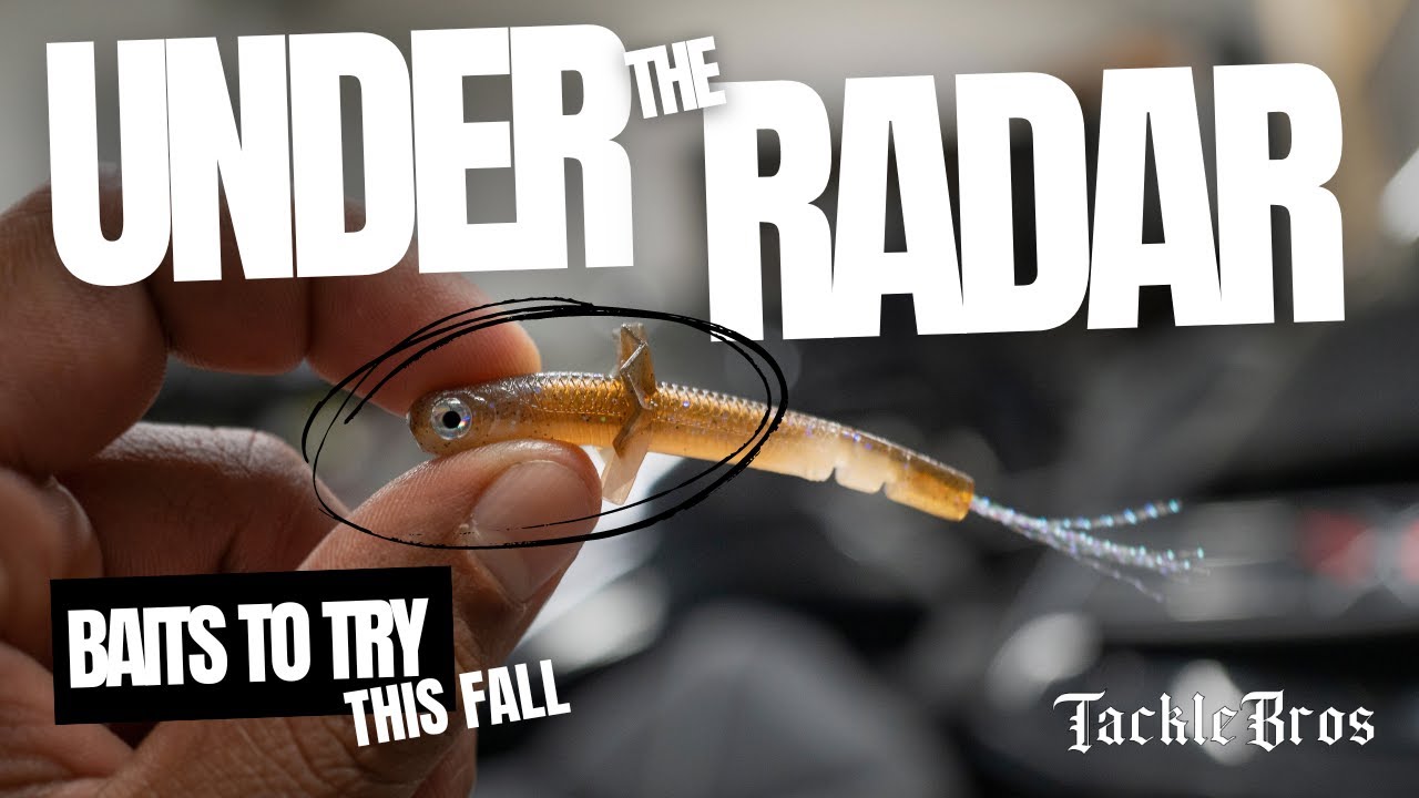 Sneaky FALL Fishing Baits You NEED to Try