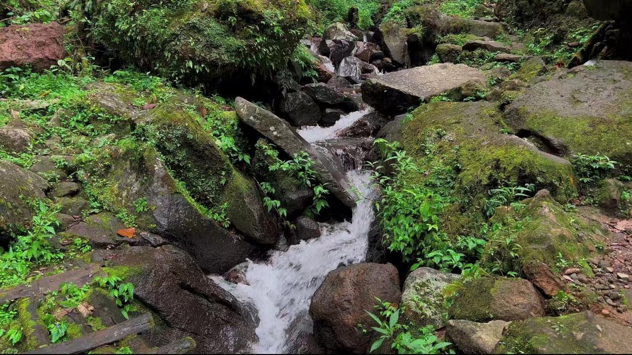 River Water Sounds for Sleeping, River Sounds for Relaxation, Water Sounds for Stress Relief
