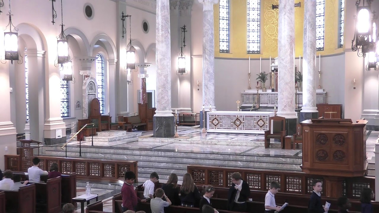 8:05 am - Daily Catholic Mass