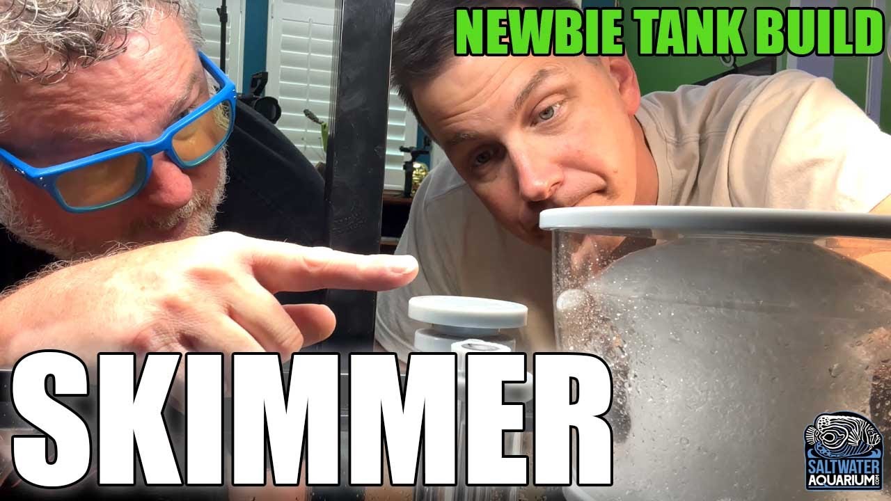 NYOS Quantum PROTEIN SKIMMER Saltwater Aquarium Installation - Newbie Tank Build