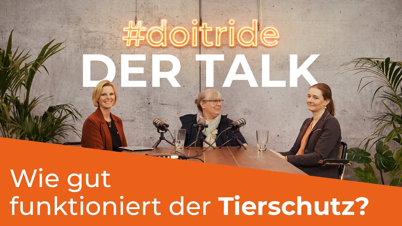 Wie gut funktioniert der Tierschutz? | #doitride – der Talk