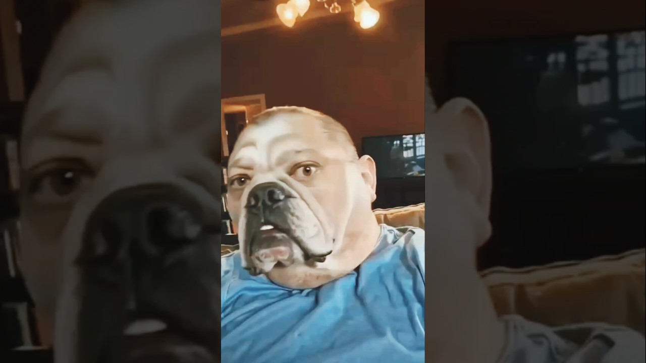 Dog Mystery #shorts #mystery #creepypasta #horror #scary #trending shorts #viralshorts #dog