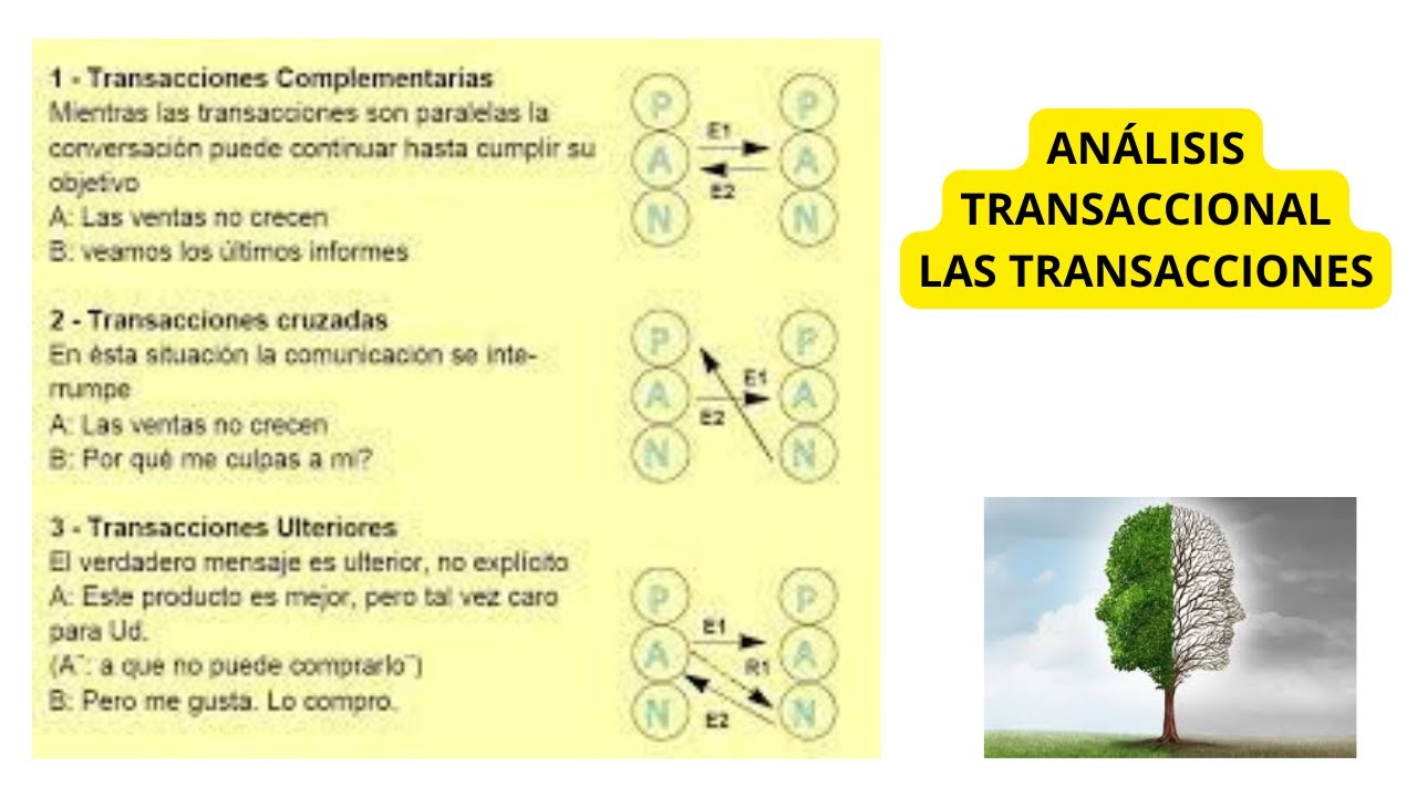 QU&Eacute; ES EL AN&Aacute;LISIS TRANSACCIONAL - LAS TRANSACCIONES