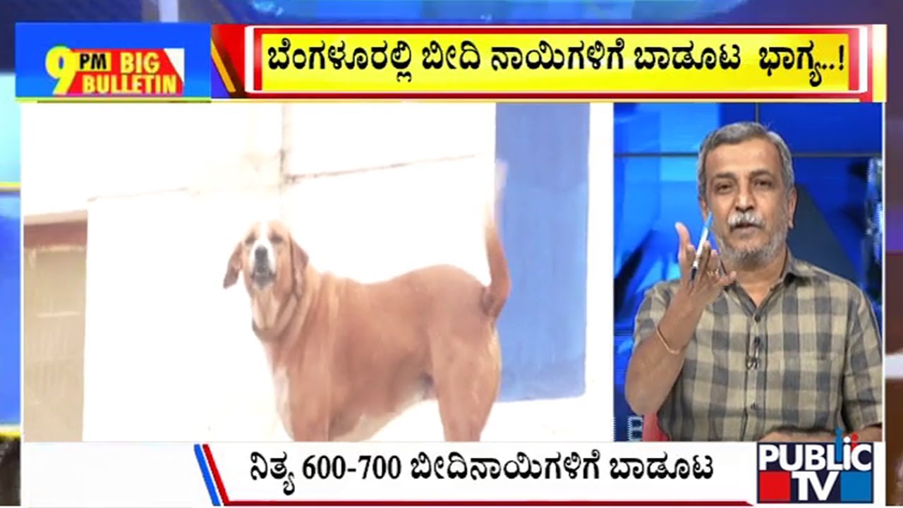 Big Bulletin | ಬೆಂಗಳೂರಲ್ಲಿ ಬೀದಿ ನಾಯಿಗಳಿಗೆ ಬಾಡುಟ ಭಾಗ್ಯ..! | HR Ranganath | July 10, 2025