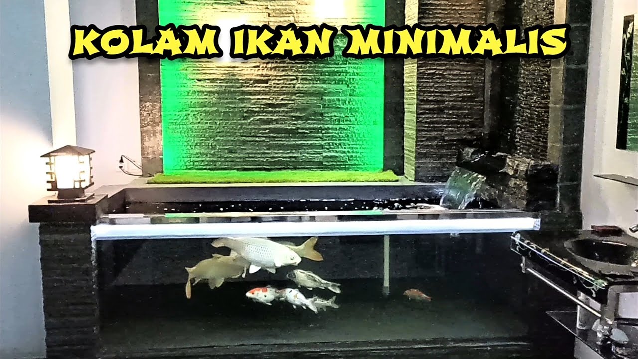 Cara Membuat Kolam Ikan Minimalis @mjgchannel9091