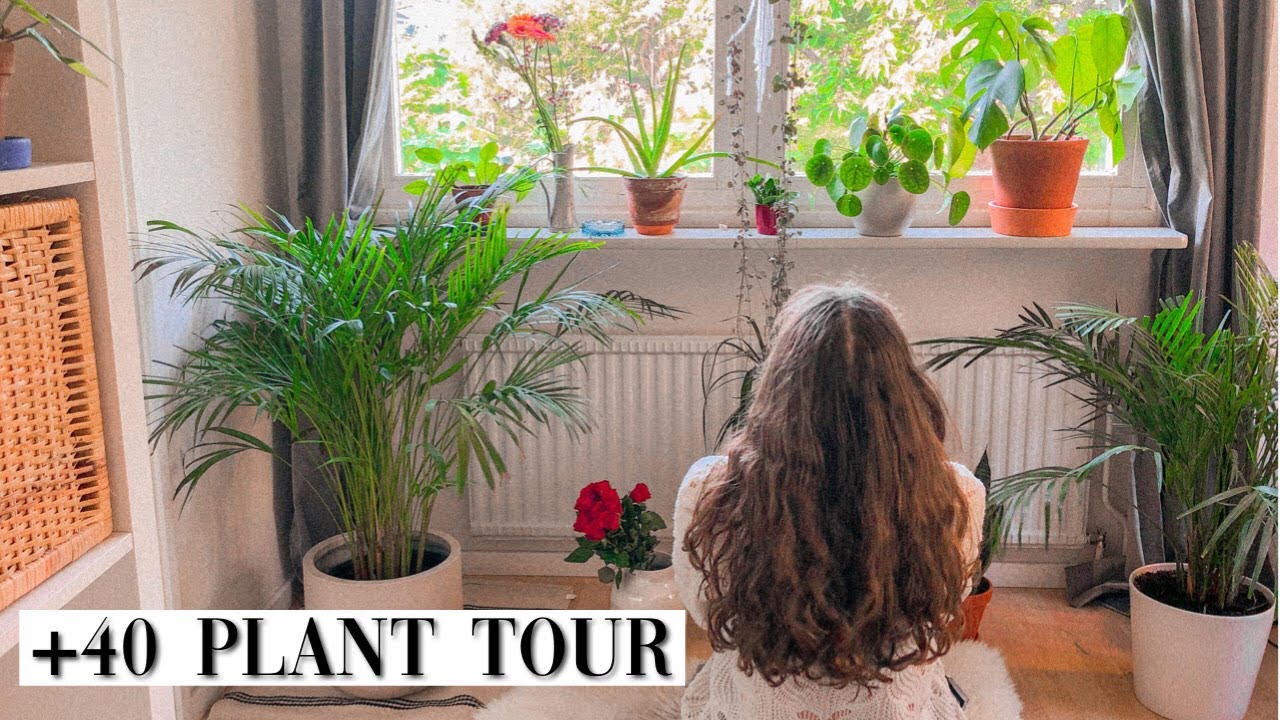 Plant Tour | Houseplant Tour 🪴| Mina växter