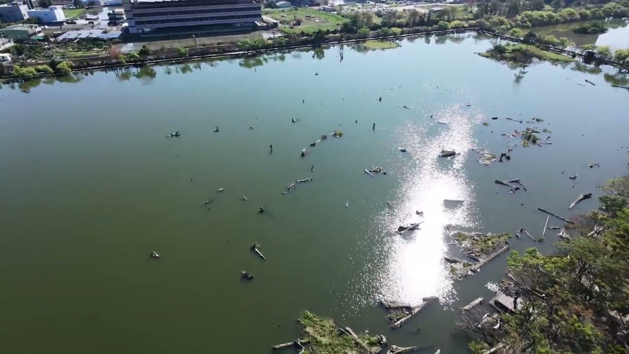 羅東林場（DJI NEO 2)