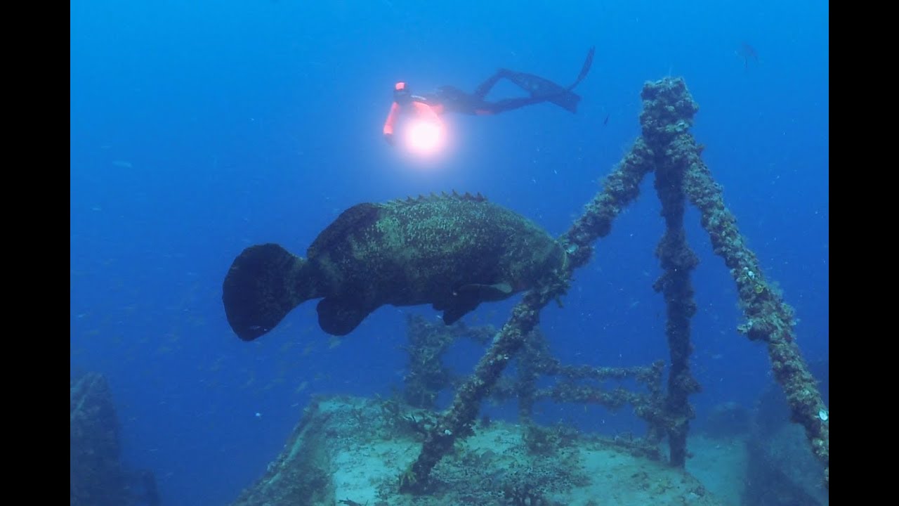 Freediving the Spiegel Grove - The Amazing Dives of the World - Wrecks