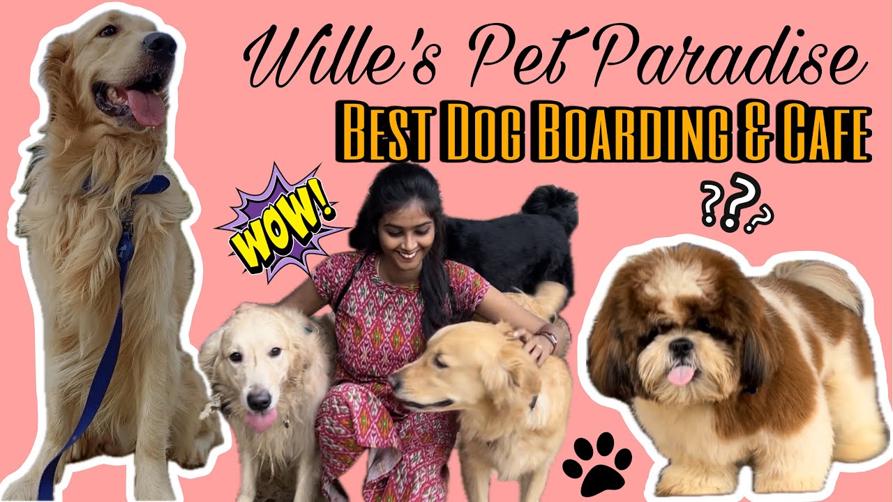 Exploring Dog Cafe & Dog Boarding in Bangalore | Wille’s Pet Paradise!! | Aishwarya Sudarshan