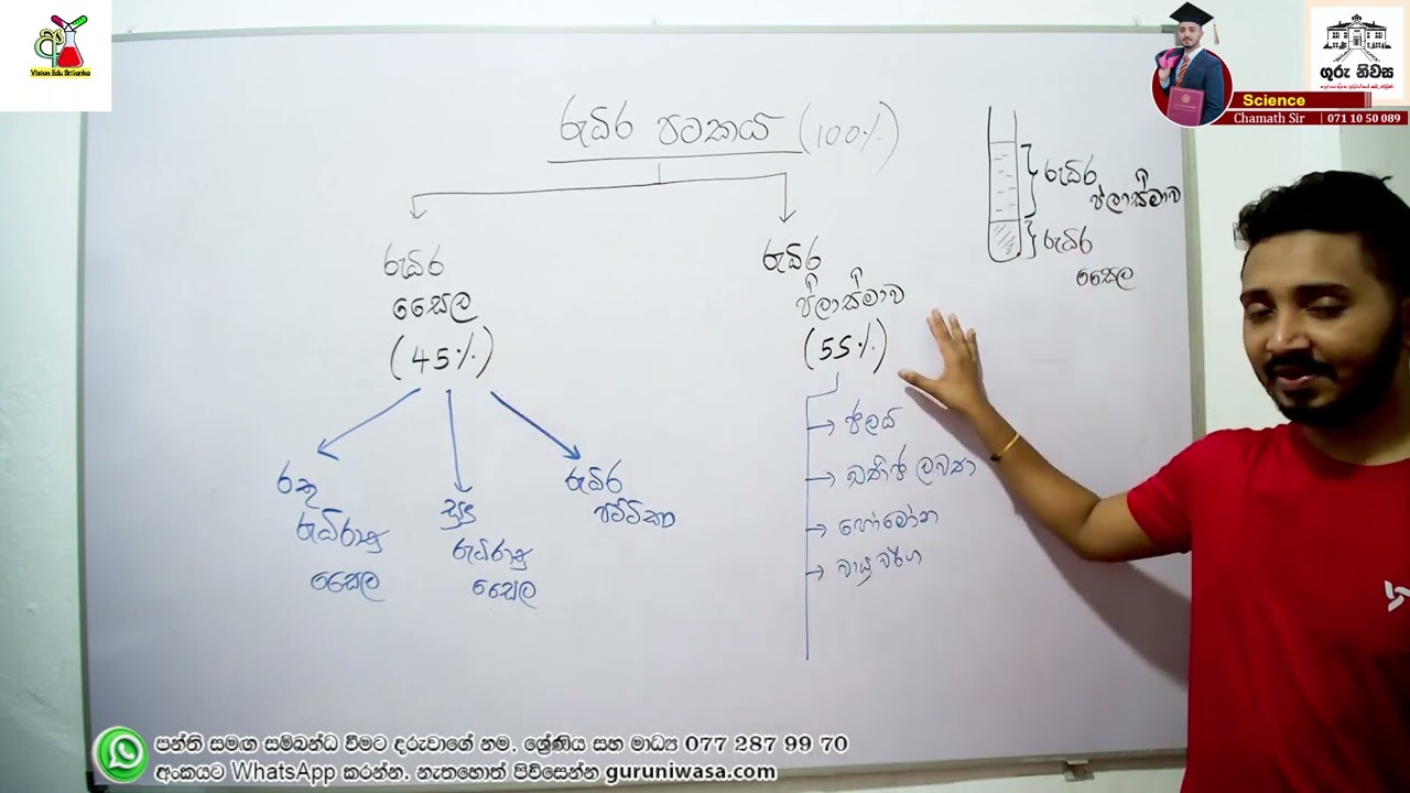 විද්‍යාව | 11 ශ්‍රේණිය | 01 පාඩම | ජීවී පටක | 02 කොටස | සිංහල මාධ්‍ය | 2025. 02. 03
