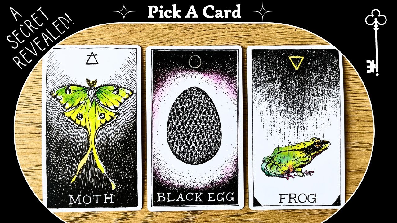 A Secret Revealed By Your Spirit Guides! ✨🌙🔑⭐️🐍✨Pick a card⎜Timeless Reading