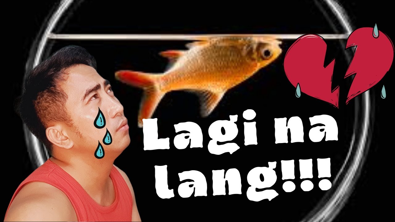 Bakit Namamatay ang Isda sa Aquarium? | Top 10 Reasons | Katropapets