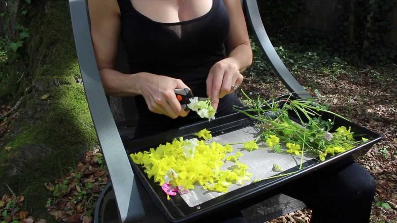 The Trim Tray | Lap Top Trimming Trays for Garden | Pollen Collecting Screen |   Trim Bin T4 Trimmer