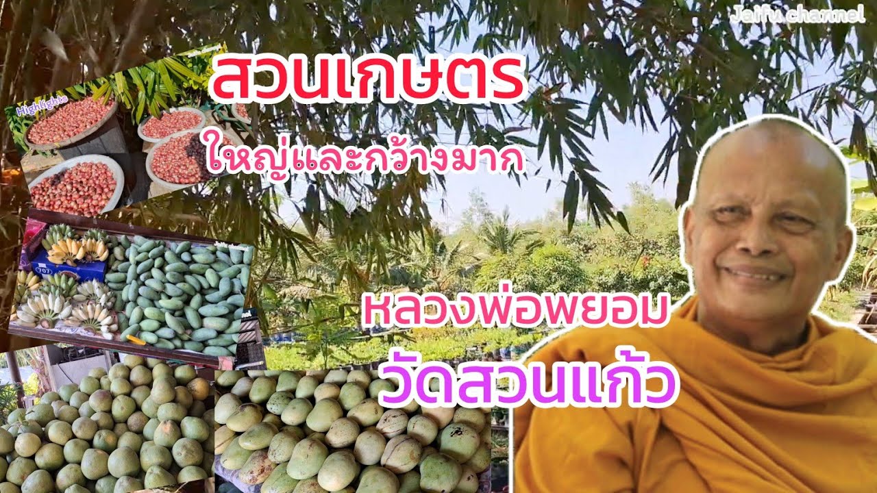 พาชมบรรยากาศวัดสวนแก้ว และผลผลิตจากสวน