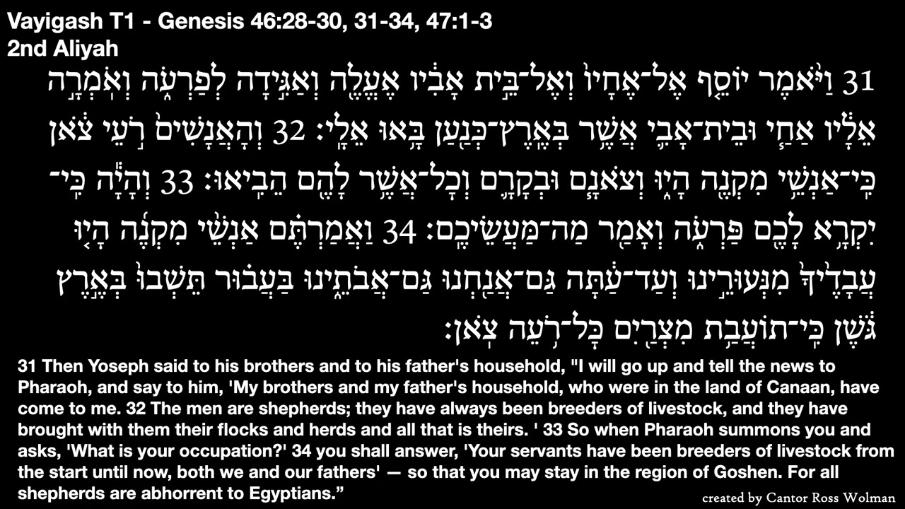 Torah Vayigash T1 - Genesis 46:28-30, 31-34, 47:1-3