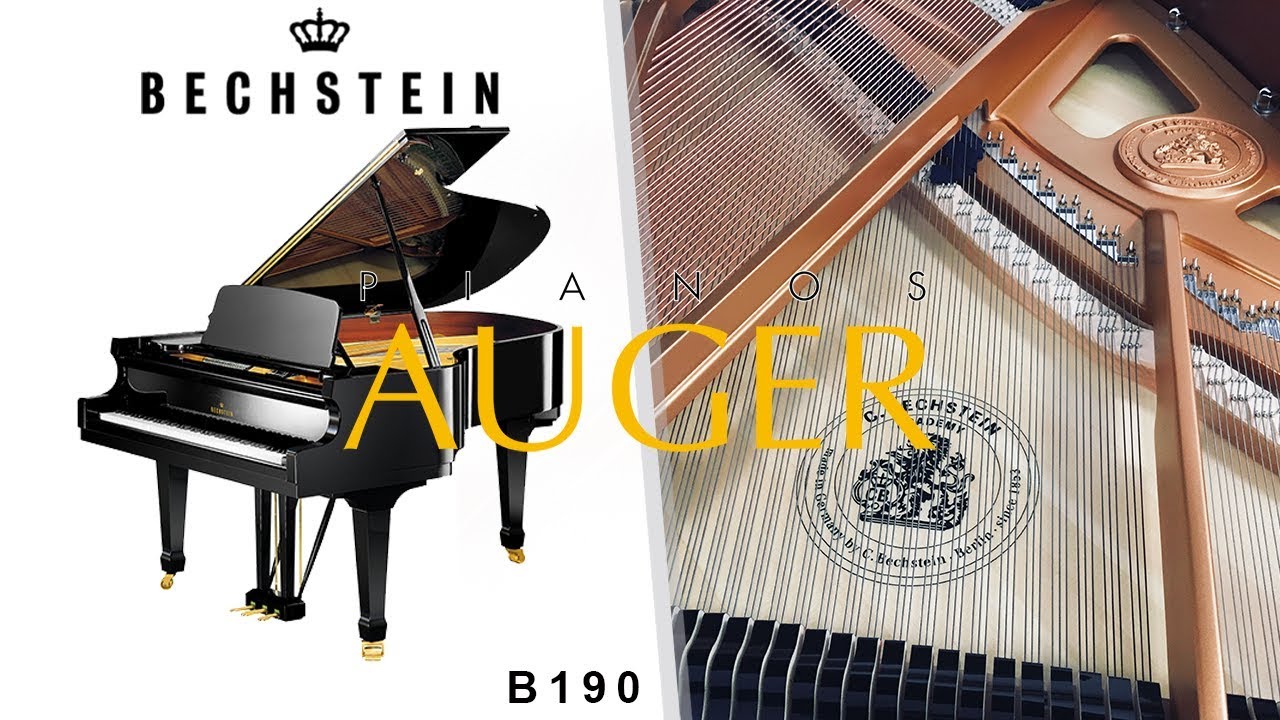 BECHSTEIN B 190