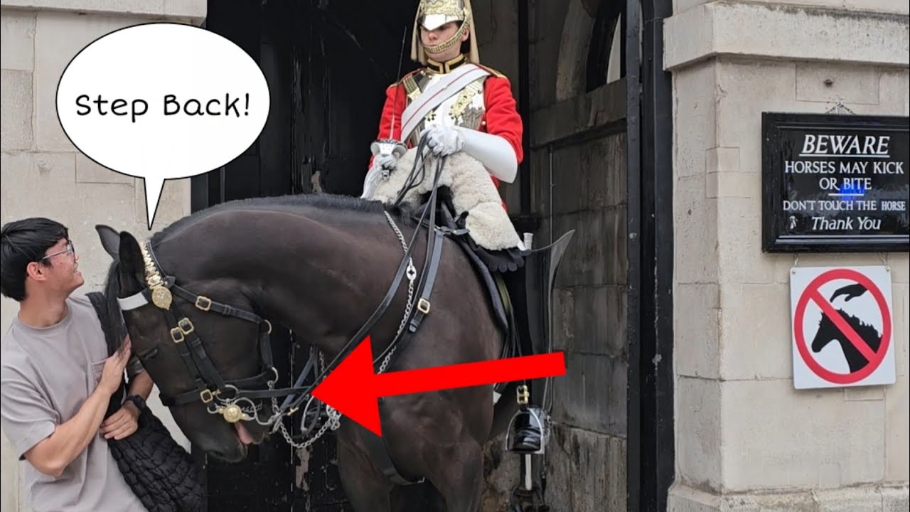Don't touch the horse! King's Horse tells you to 