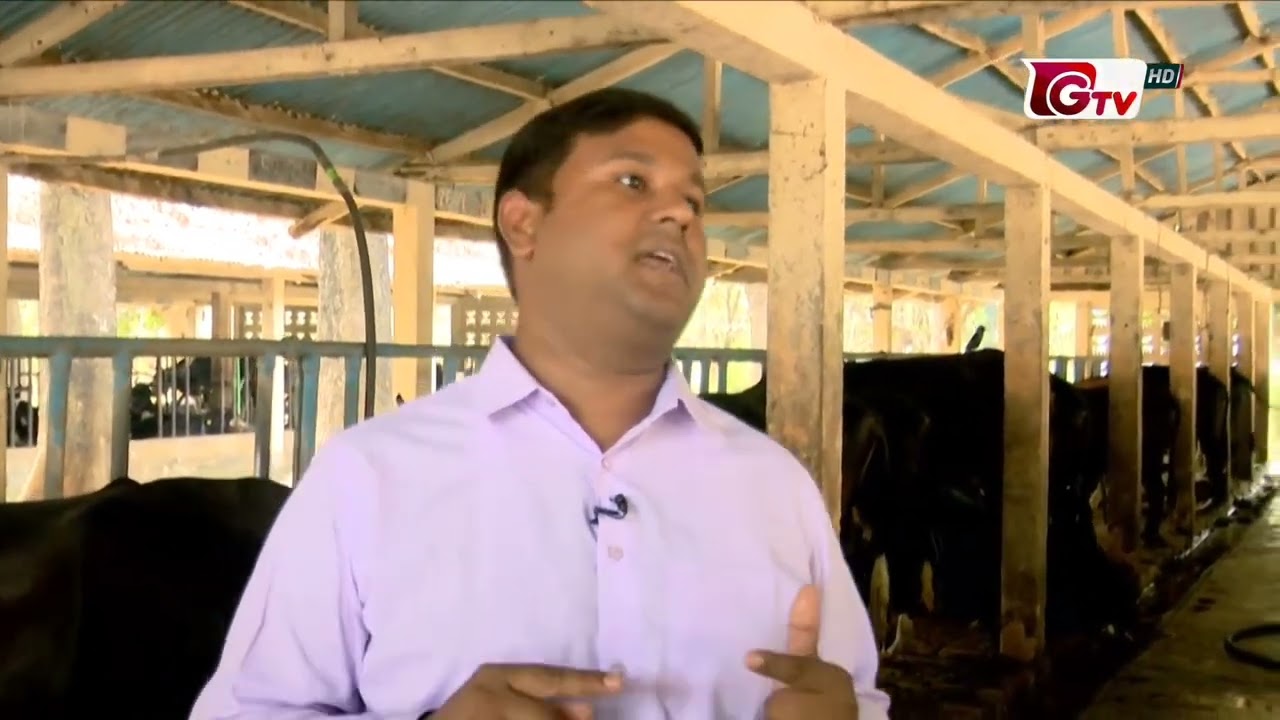 গো খাদ্যের দাম কমিয়ে লাভজনক ডেইরী ফার্ম করার উপায়.......  GTV তে প্রচারিত সবুজ কৃষি অনুষ্ঠানে আমি 
