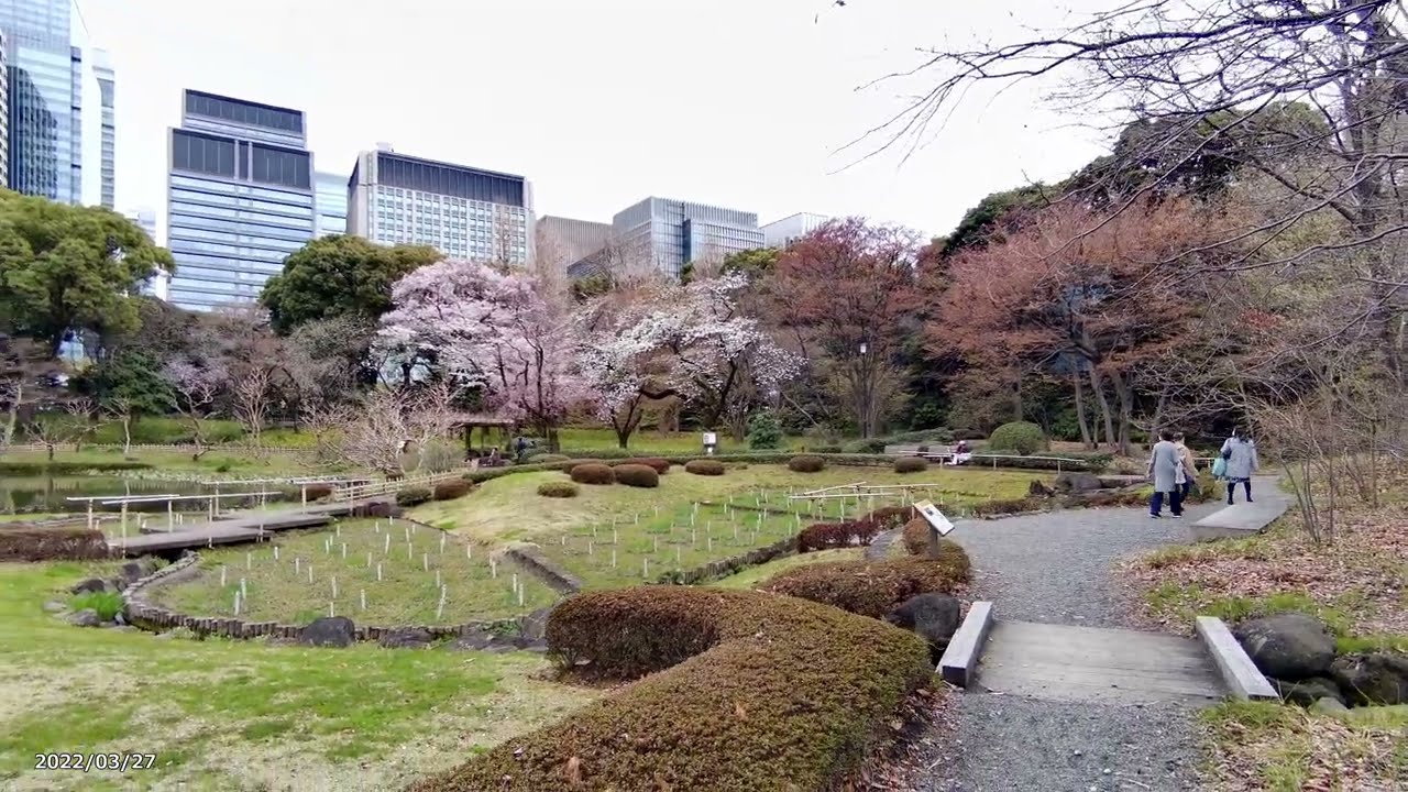 【4K】皇居東御苑・二の丸庭園（2022年3月27日）